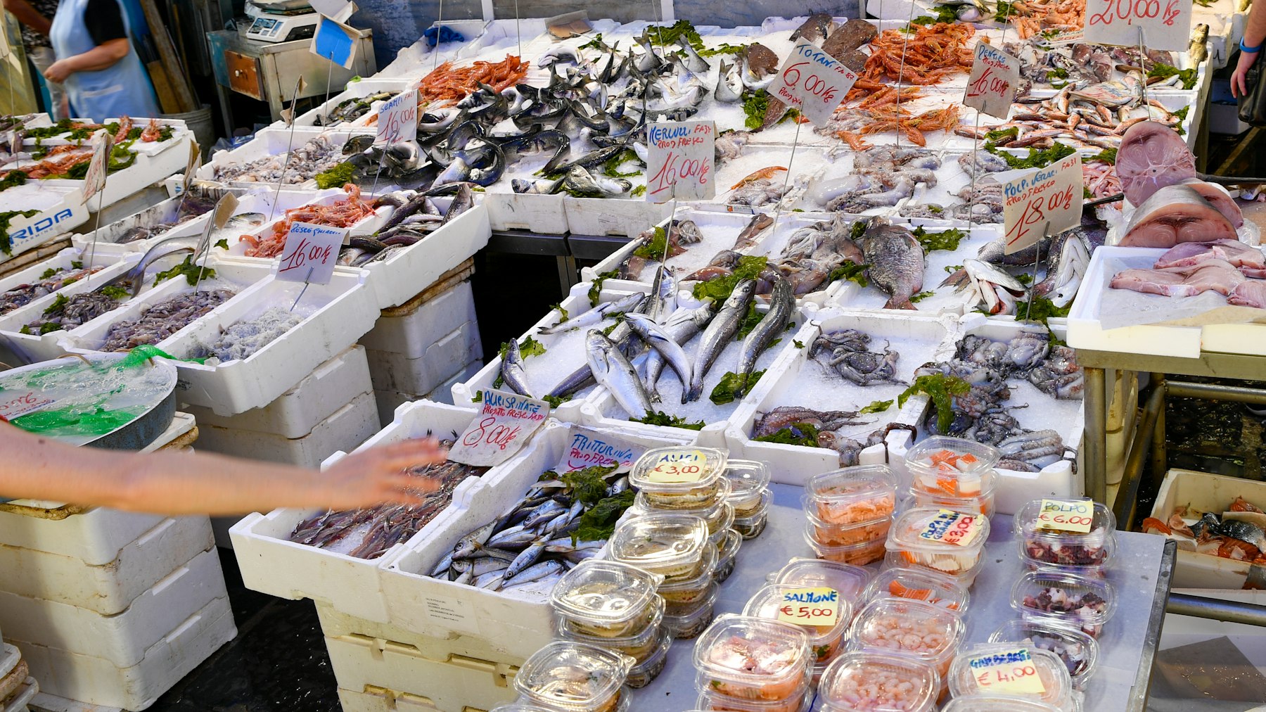 地中海沿岸の市場に並ぶ新鮮な魚介