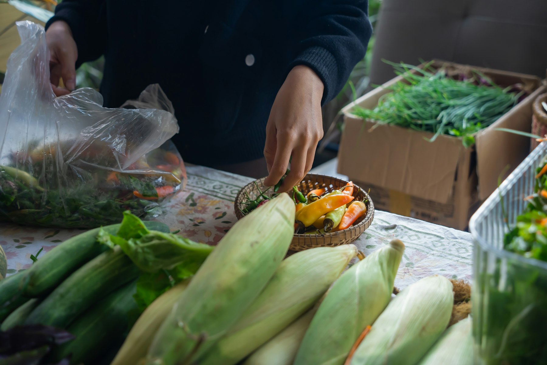 とうもろこしや唐辛子など南米原産の食材